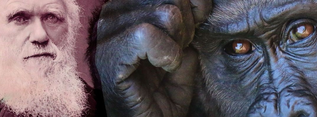 Les fraudes de la théorie de Darwin