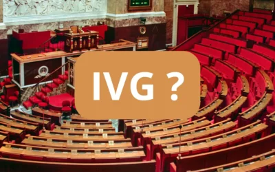 Assemblée nationale (3)