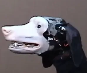 chien ia