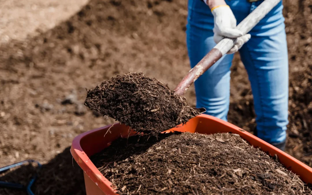 USA – Une loi pour autoriser le « compost humain »