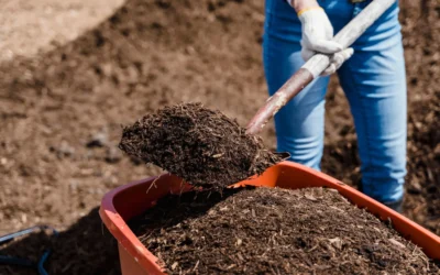 compost humain