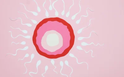 infertilité (1)