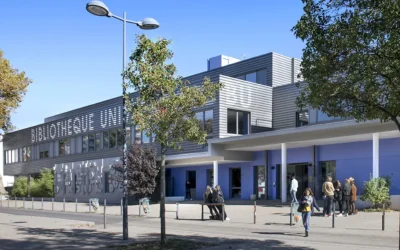université