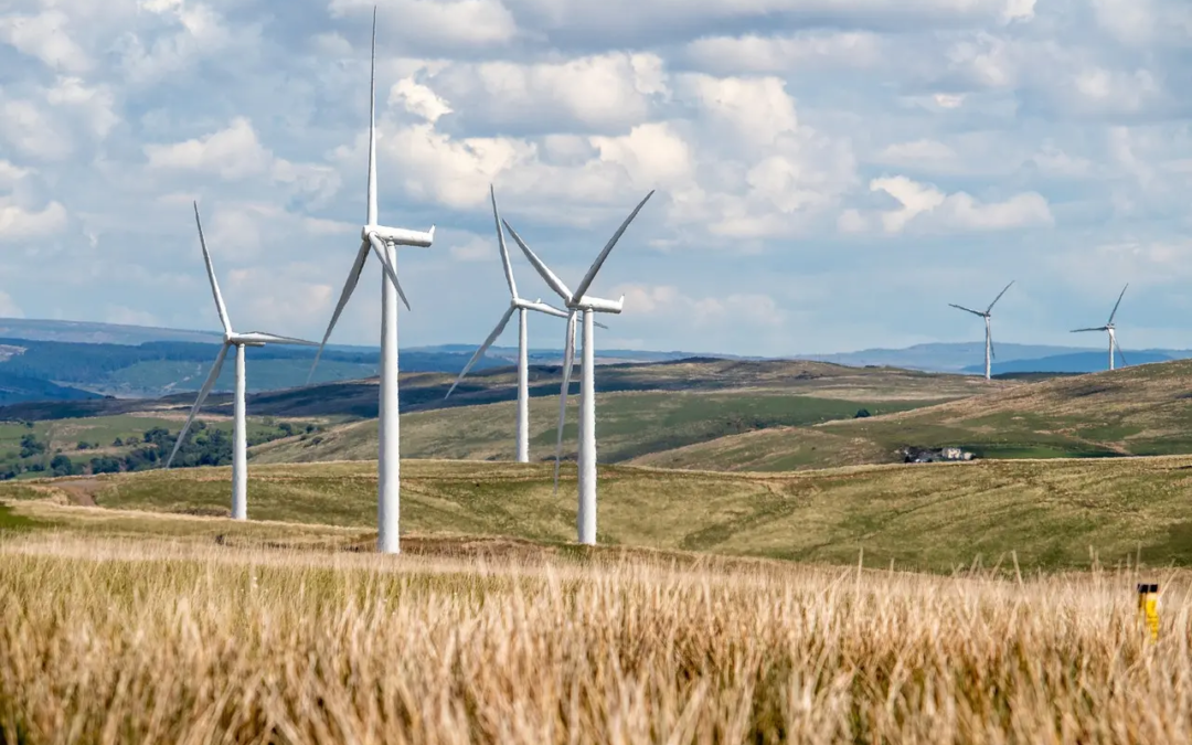 Dossier : éoliennes, un désastre écologique et économique