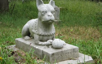 Tombe animal