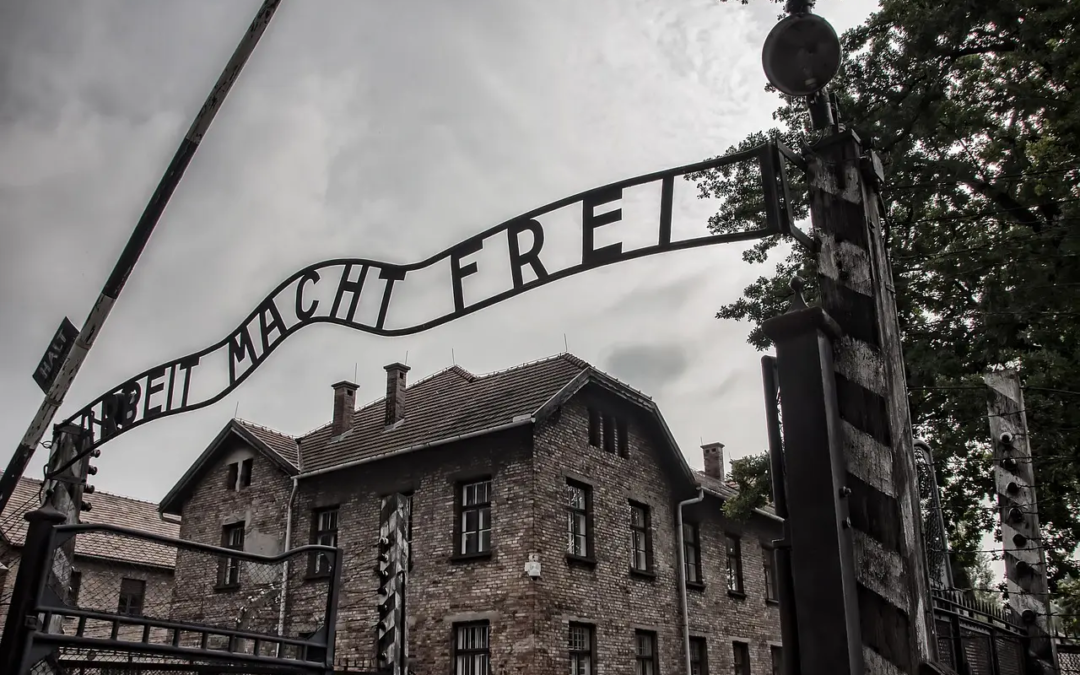 27 janvier : journée en mémoire des victimes de l’Holocauste