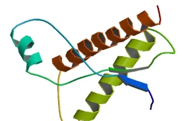 BOVINE_PRION_PROTEIN_1dx0_asym_r_500