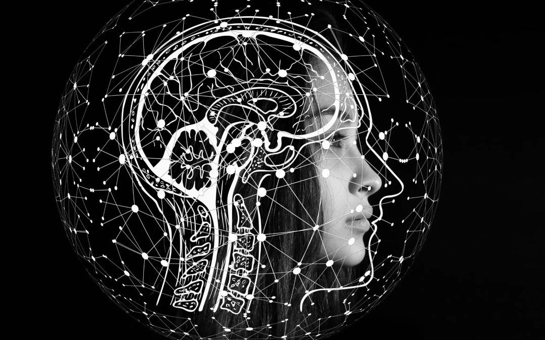 Des cerveaux qui se synchronisent en classe