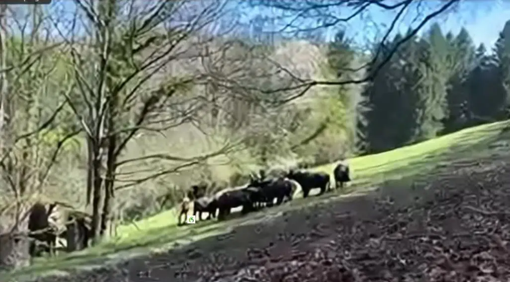 Ariège Vaccination forcée