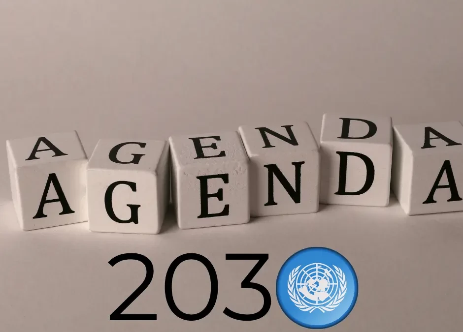 ONU : l’agenda 2030